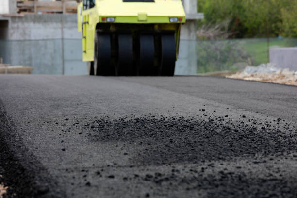 Best Local Driveway Pavers  in Oquawka, IL